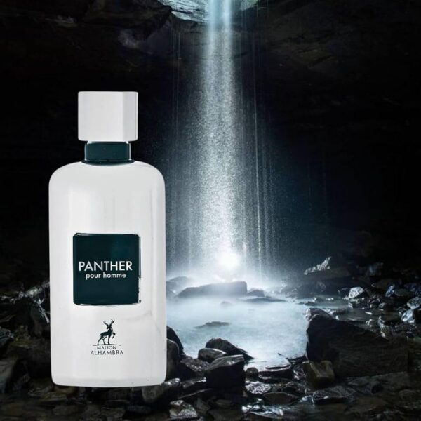 MAISON ALHAMBRA | Panther Pour Homme - Image 3